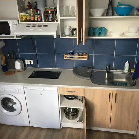 Ciurlionio Street Apartment Vilnius