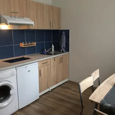 Ciurlionio Street Apartment *
