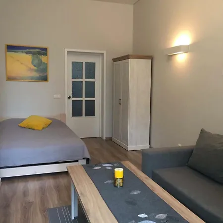 Ciurlionio Street Апартаменты Вильнюс